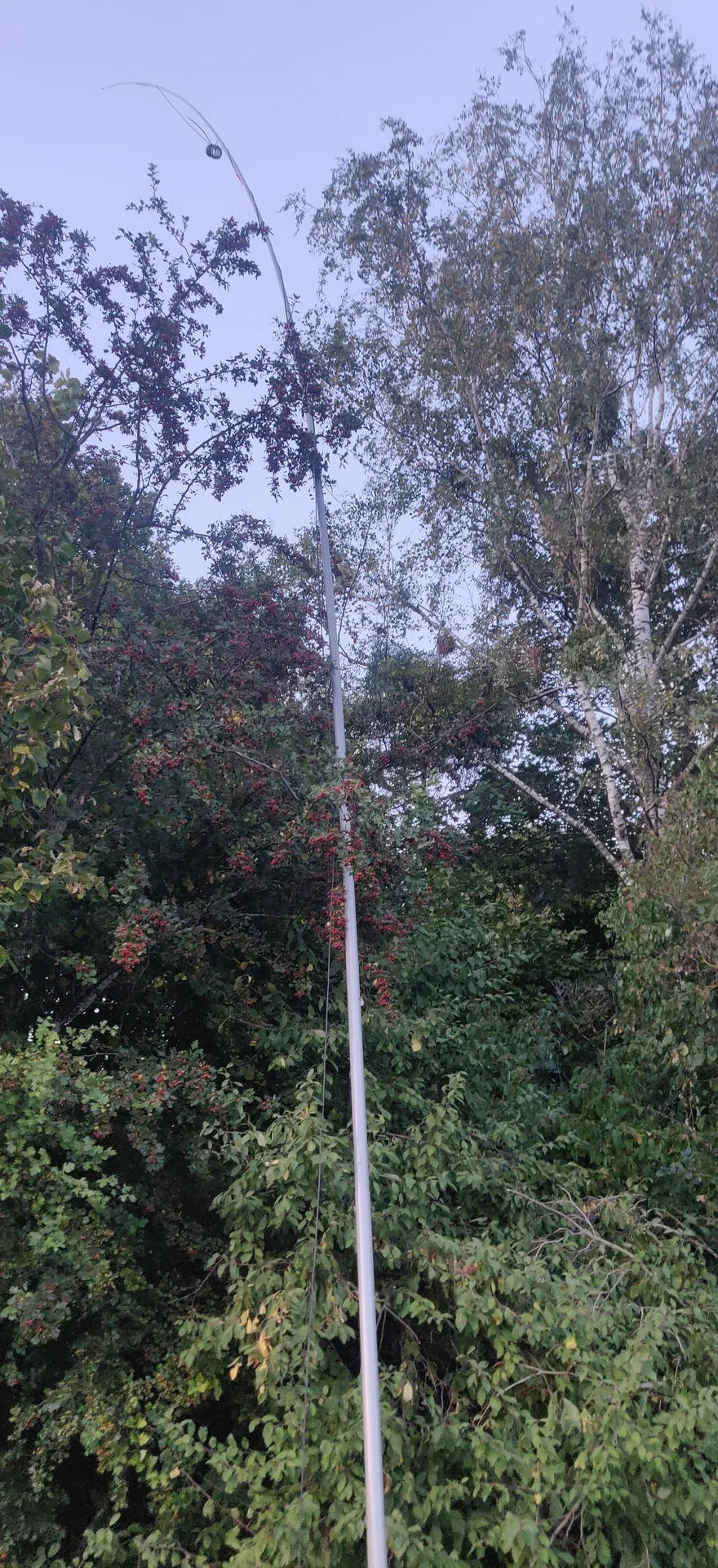 14M Mast