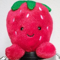 13-OT-4242 - Die Erdbeere